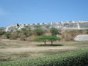 DSC01281