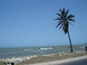 DSC01379
