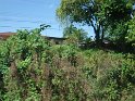 DSC01528