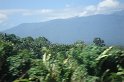 DSC01536