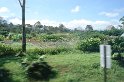 DSC01539