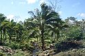DSC01541