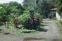 DSC01544