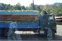 DSC01550