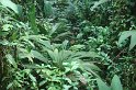 DSC01565