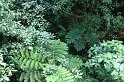 DSC01567