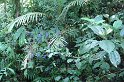 DSC01568