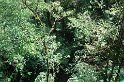 DSC01569