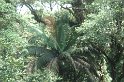 DSC01570
