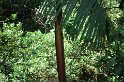 DSC01571
