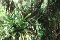 DSC01572