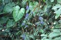 DSC01573