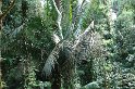DSC01574