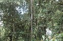 DSC01575