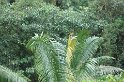 DSC01577