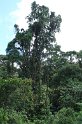 DSC01578