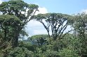 DSC01584