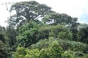 DSC01586