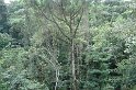 DSC01587
