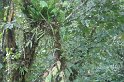 DSC01588