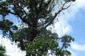 DSC01589