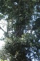 DSC01591