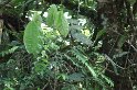 DSC01592