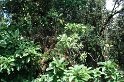 DSC01595