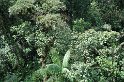 DSC01596