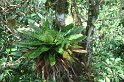 DSC01598