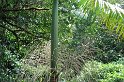 DSC01600