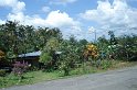 DSC01608