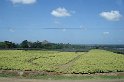DSC01612