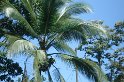 DSC01616