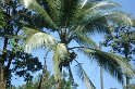 DSC01617