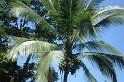 DSC01618