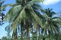 DSC01620