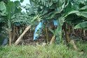 DSC01628