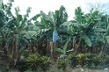 DSC01631