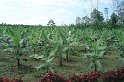 DSC01635