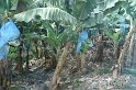 DSC01639