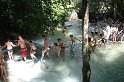 DSC01703