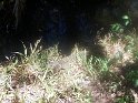 100_0590