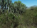 102_0228