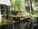 IMG_0013