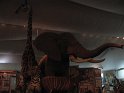 IMG_0045