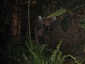 IMG_0047