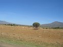 IMG_0058