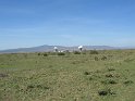 IMG_0059