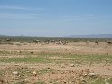 IMG_0065